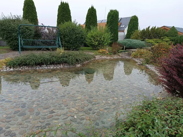 Kerti tavak, sziklakertek és gruppok