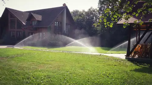 Kert és növényzet a Garden Barbernél